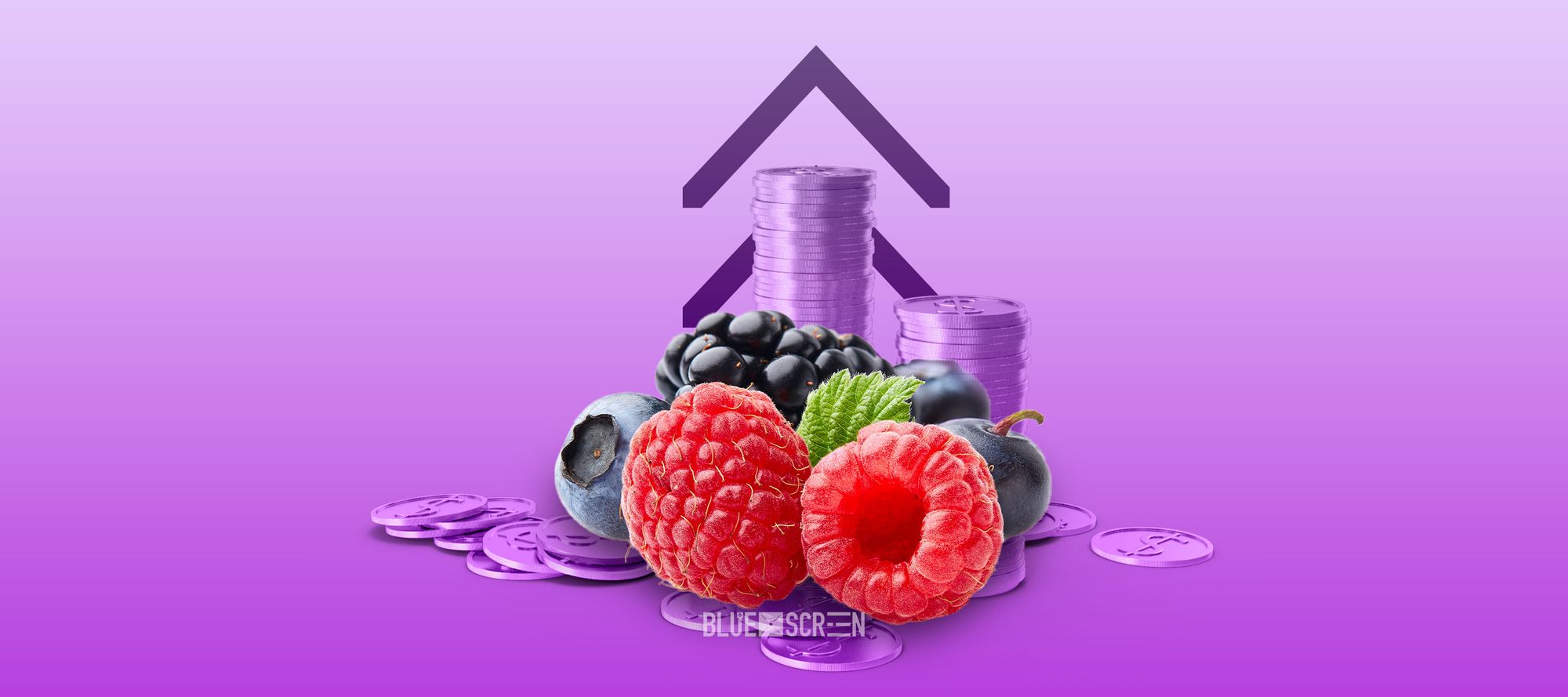 Какие товары казахстанского производства покупают на Wildberries?
