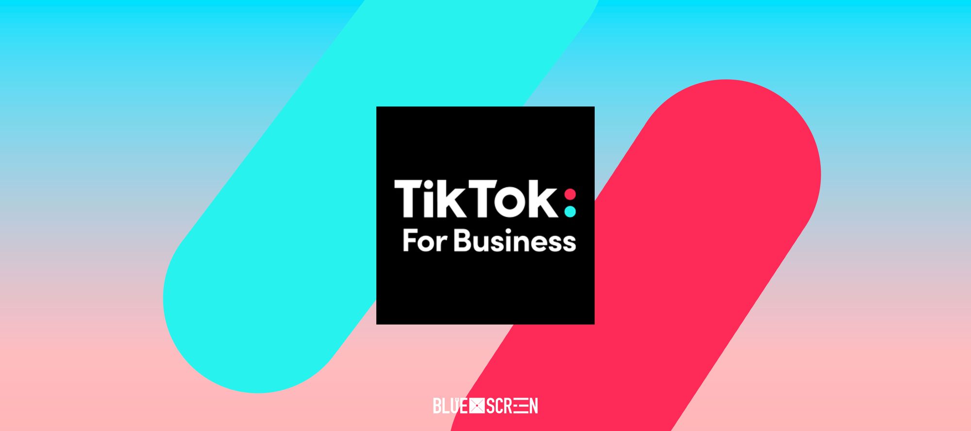 TikTok для бизнеса. Новый способ заработка доступен казахстанцам