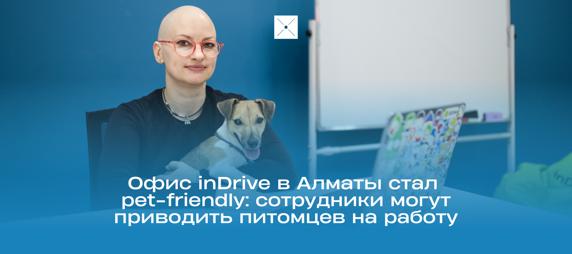 Офис inDrive в Алматы стал pet-friendly: сотрудники могут приводить питомцев на работу