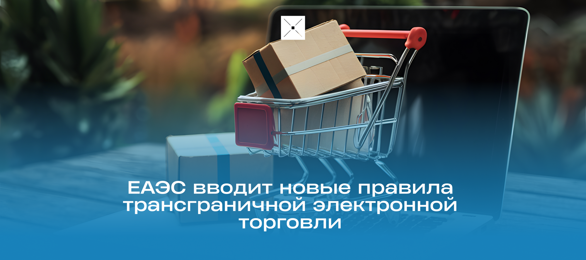 ЕАЭС вводит новые правила трансграничной электронной торговли