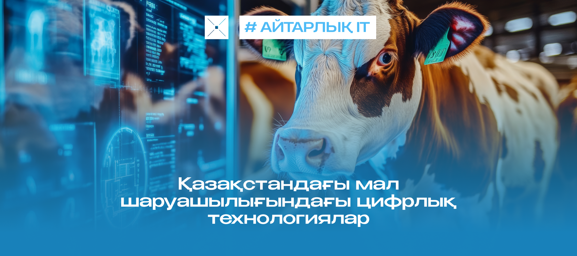 Қазақстандағы мал шаруашылығындағы цифрлық технологиялар