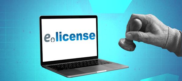Какие услуги на e-license предоставляются в автоматическом режиме