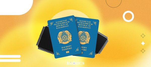 Зачем в казахстанских паспортах установлены чипы?