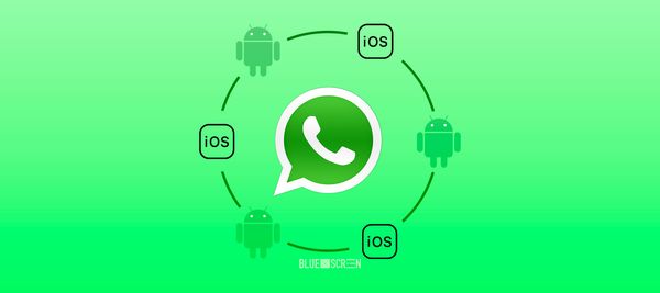 WhatsApp запустил функцию переноса аккаунта с Android на iOS
