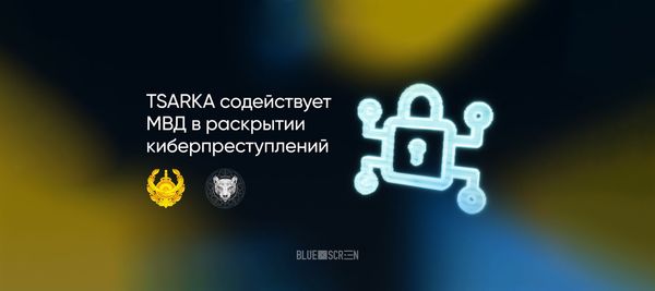 TSARKA будет сотрудничать с МВД в раскрытии киберпреступлений