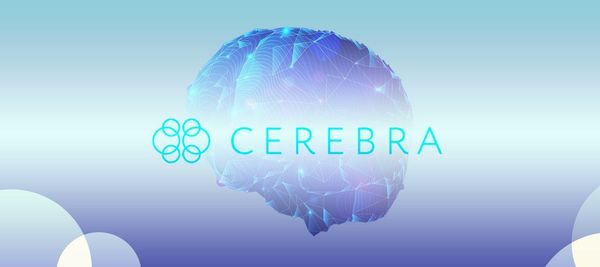 Стартап CerebraAI выиграл премию LEAP в размере $150 тыс. в Саудовской Аравии