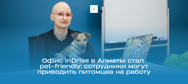 Офис inDrive в Алматы стал pet-friendly: сотрудники могут приводить питомцев на работу
