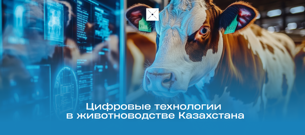 Цифровые технологии в животноводстве Казахстана
