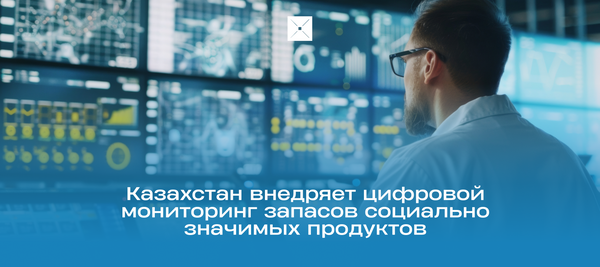 Казахстан внедряет цифровой мониторинг запасов социально значимых продуктов