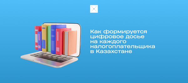 Как формируется цифровое досье на каждого налогоплательщика в Казахстане