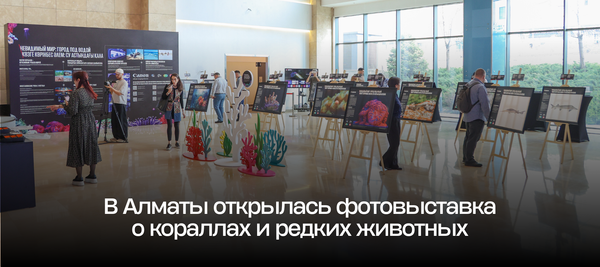 В Алматы открылась фотовыставка о кораллах и редких животных