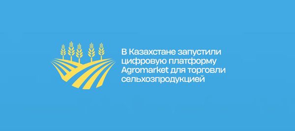 В Казахстане запустили цифровую платформу Agromarket для торговли сельхозпродукцией