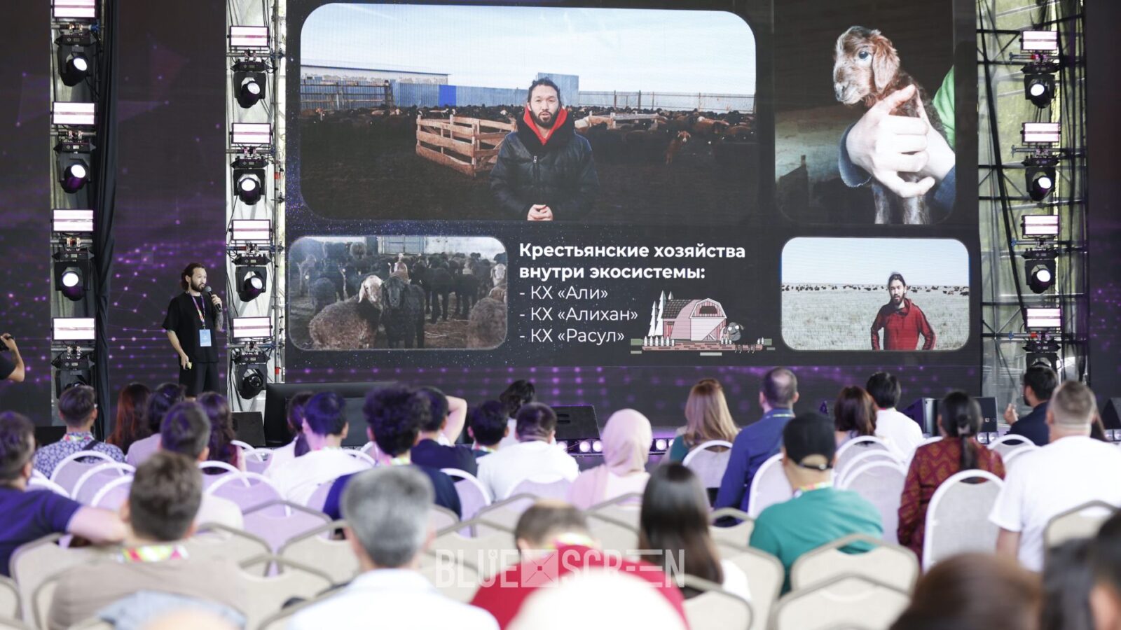 Проект MixSheeps